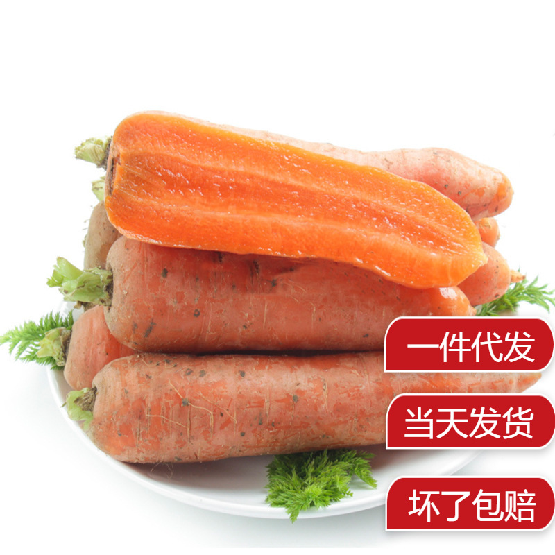 脆甜红萝卜5整箱包邮山东新鲜胡萝卜3斤蔬菜农家自种
