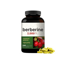 跨境供应小檗碱胶囊 Berberine capsules 60/粒 源头厂家