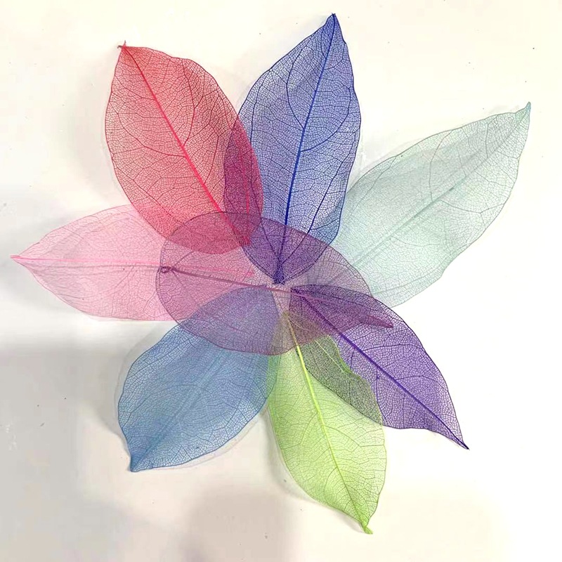 天然植物干叶脉 金刚叶 菩提叶书签 压花 工艺品相框配草