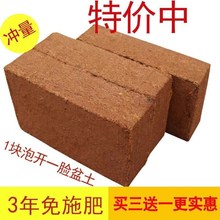 精品椰砖椰砖土通用营养土600克透气椰粉砖椰丝砖种花种菜土花跨