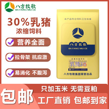30%乳猪浓缩料断奶营养全养殖场专用小猪饲料厂家直营级断奶专用