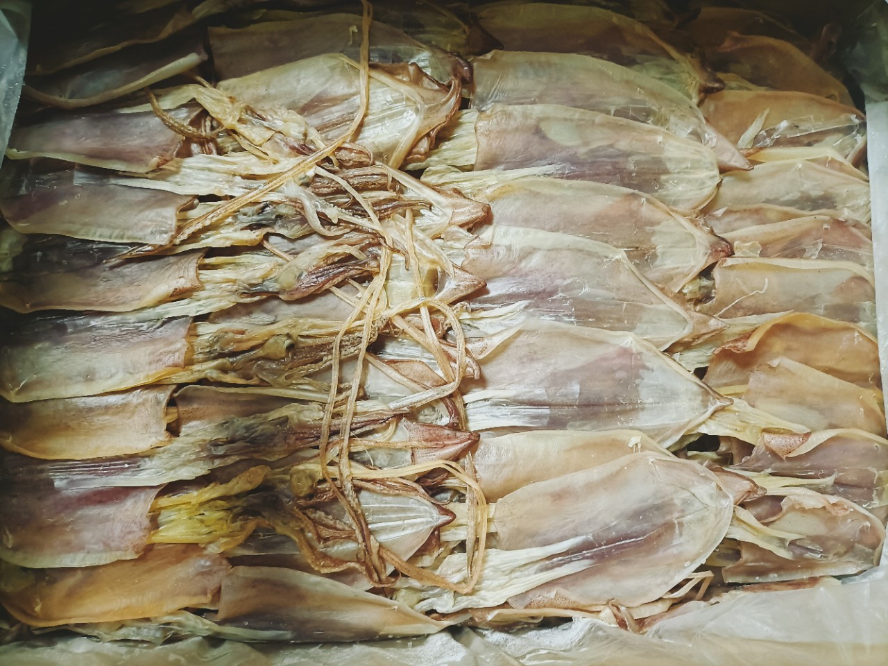 东山鱿鱼干海钓鱿鱼干超市酒店