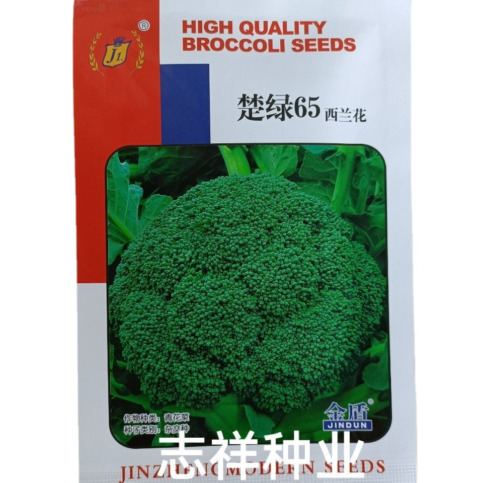 楚绿65/80西兰花种子杂交 青花菜蕾粒中细耐寒10克蕾色绿球高圆