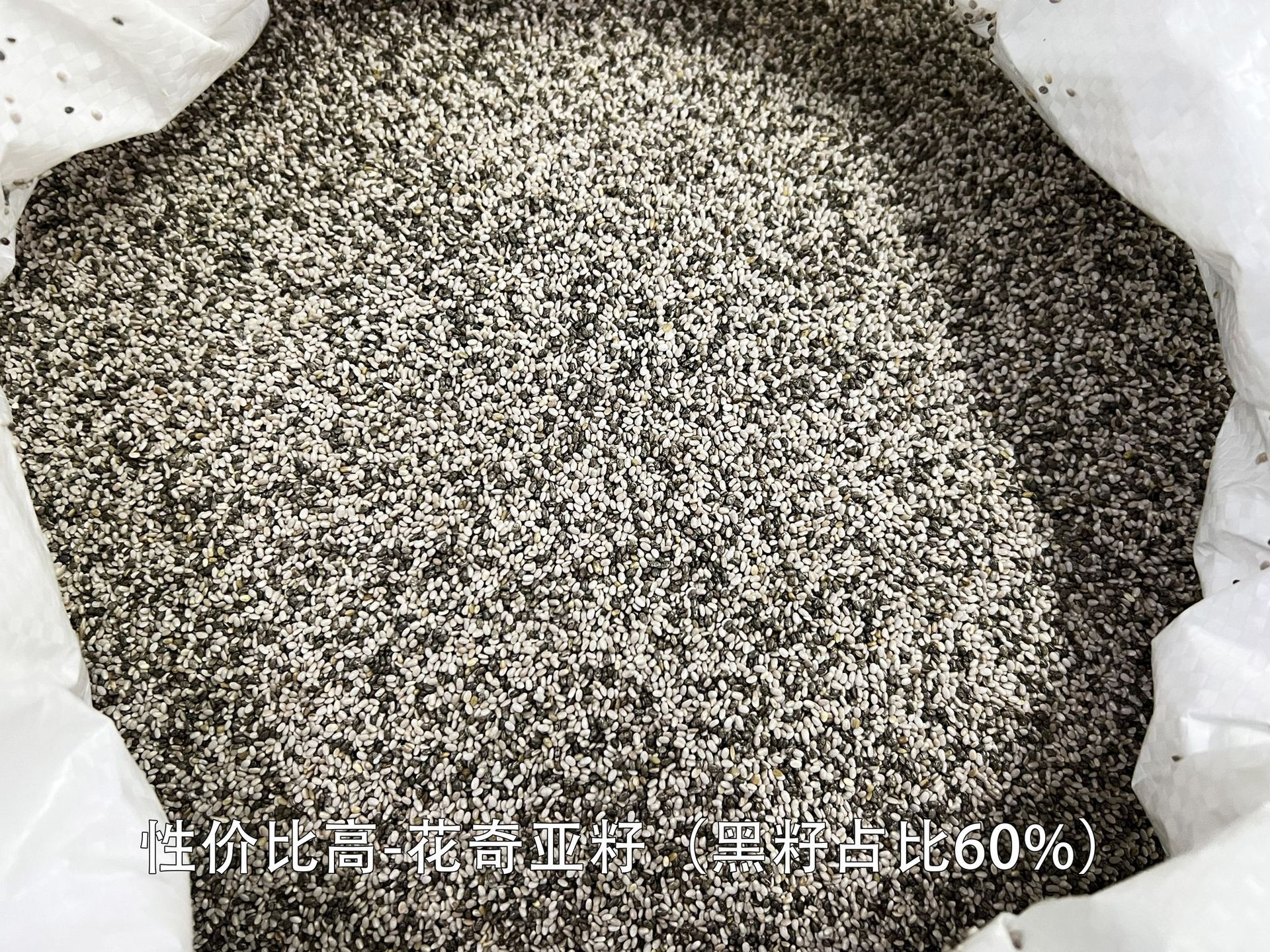 墨西哥进口奇亚籽批发奇亚子代餐 工厂货源 批发代发500g 正关