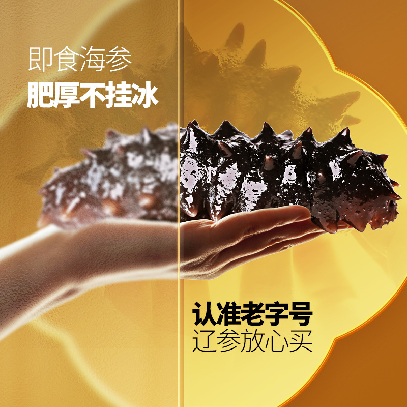 老王即食海参鲜活辽参 大连海参旗舰店深海野生海参500g海生海参