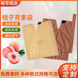 厂家批发黄桃、桃子育果袋  防虫防水桃子袋水蜜桃蟠桃套袋