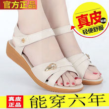 外贸出口真皮牛筋软底2024新款夏季牛筋底休闲低跟防滑妈妈凉鞋女