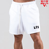 2022夏季LYFT潮流新款短裤男士肌肉健身休闲运动跑步训练透气短裤|ru