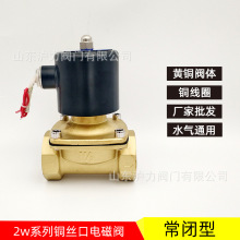 2w-160-15自来水电磁阀1寸不发热带节能模块灌溉水管电磁阀AC220V