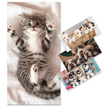 现货跨境宠物猫欧美热销系列沙滩浴巾双面毛圈印花毛巾沙滩巾定制