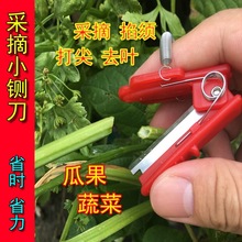 采摘小侧刀农用便携豆角葡萄花椒摘菜拇指刀打叶刀掐尖掐须小铡刀