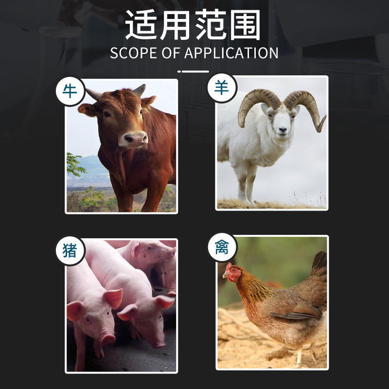 土霉素片兽用禽药鸡药猪药牛羊乌龟兔宠物狗狗腹泻拉稀消炎药兽药