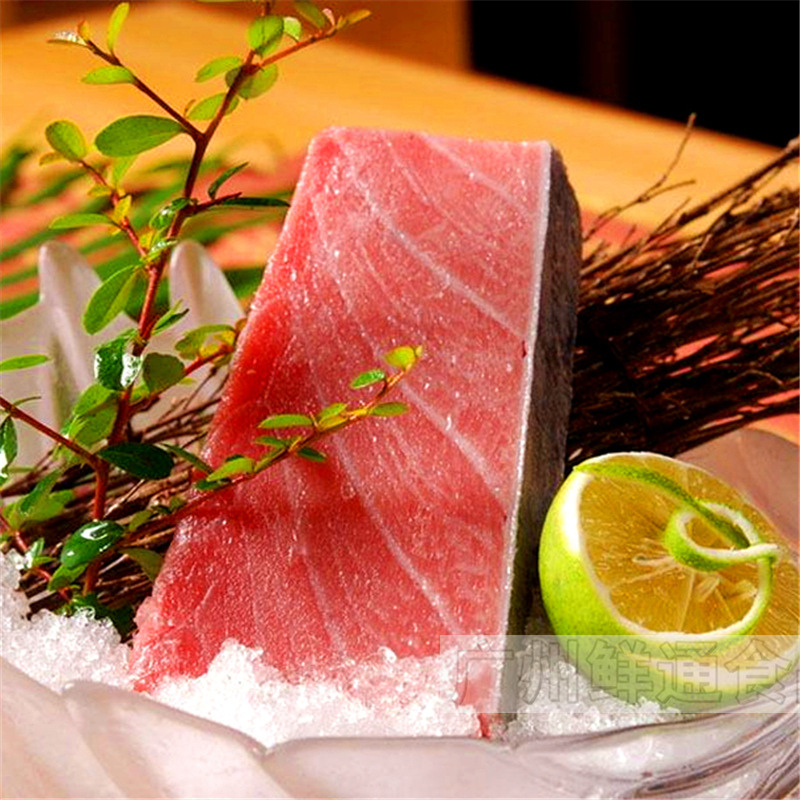蓝鳍金枪鱼拖罗500g大脂toro大托罗吞拿鱼腩大腹寿司刺身日餐
