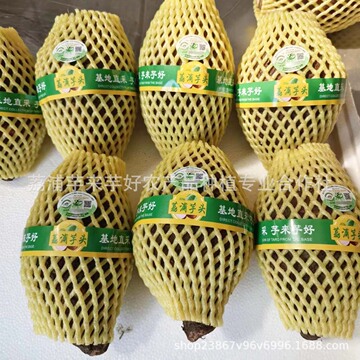 正宗广西荔浦芋头新鲜现挖槟榔大香芋包邮农家毛芋艿桂林特产蔬菜