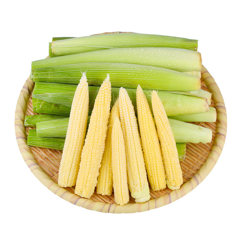 玉米笋新鲜