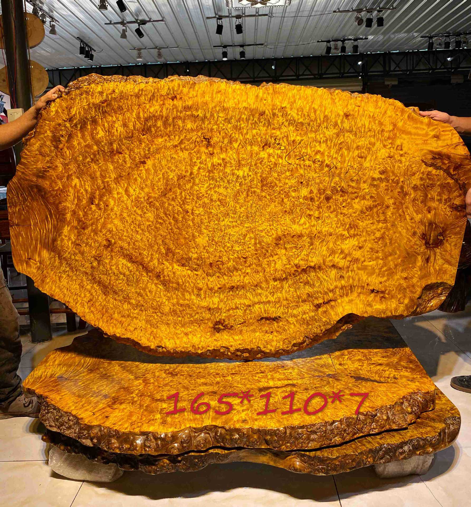 黄金樟树瘤大板爆满树瘤板材圆木原料大板料一棵树下的产品