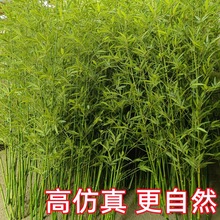 仿真竹子室外装饰假竹子仿真植物造景仿生竹子户外绿植