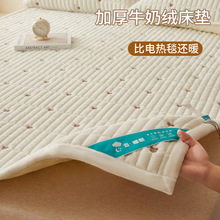秋冬季牛奶绒保暖床垫软垫家用榻榻米床褥垫子床盖夹棉床单三件套