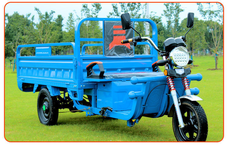 电动三轮车成人货车载货王多人农用车电瓶接送孩子拉货农用加强款