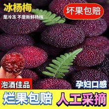 新鲜包邮仙居速冻冷冻杨梅冰冻孕妇冰杨梅水果非东魁冰镇杨梅福建
