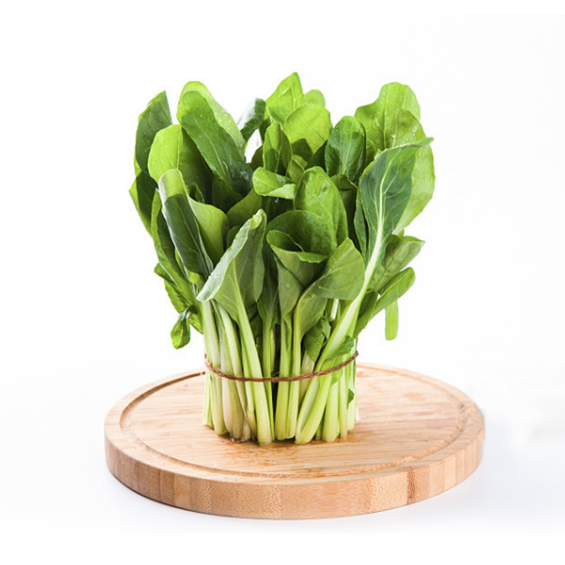上膳源 有机鸡毛菜 青菜蔬菜新鲜上海青小白菜农场现摘直发300g