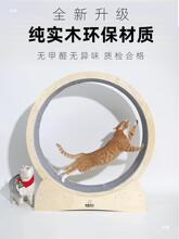 猫猫运动跑轮木质猫咪跑步机宠物健身圆形转轮玩具木质静音滚轮