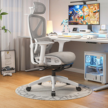 IL人体工学椅电脑椅家用椅子久坐舒服宿舍靠背书桌电竞椅办公室座