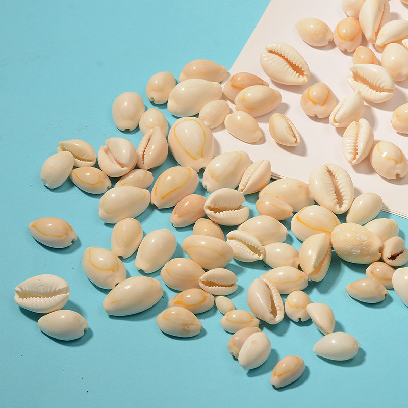 黄色金边贝 贝壳装饰品海螺 贝壳首饰配件地中海装饰饰品 批发