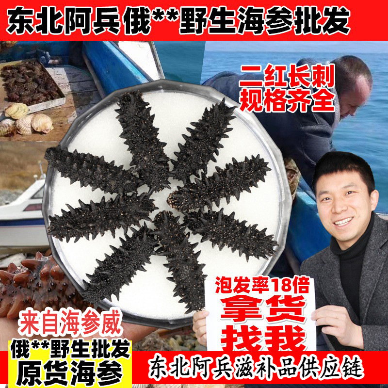吉林批发俄野生海参原货二红长刺各种规格齐全 泡发率18倍-阿里巴巴