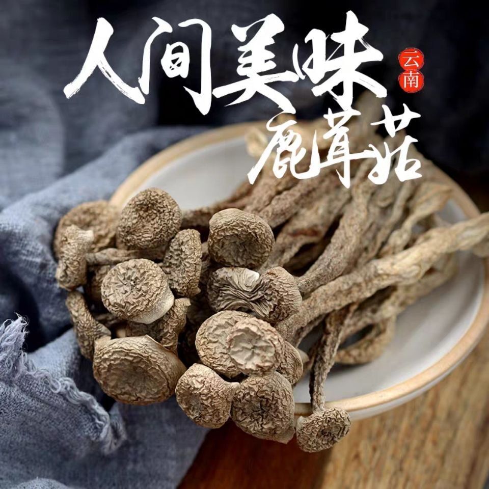 精选干货鹿茸菇100g250g500g鹿茸菌煲汤食材食用菌菇产地包邮