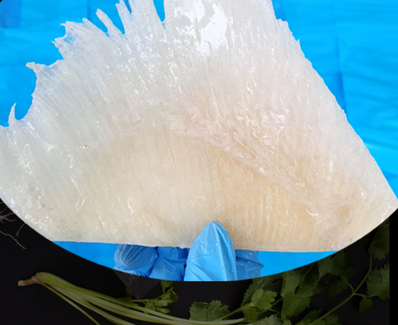 鲜冻鱼翅瑶鱼鳍冻品海鲜鲍鱼翅500克佛跳墙海参海鲜批发送礼