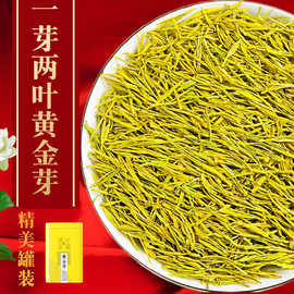 黄金芽新茶叶绿茶2021春茶白茶嫩芽高档毛尖散装浓香黄金茶叶礼盒