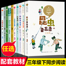 长江文艺出版社小学生三年级下册课外书人教版语文教材同步阅读儿