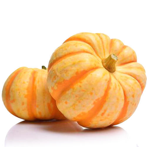 6个顺丰包邮桔瓜黄金贝贝迷你南瓜盅小金瓜酒店雕刻万圣节现货