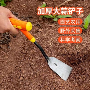 德国挖野菜挖蒜神器园林挖大蒜挖荠菜挖蒜铲子剜蒜除草小铲子工具
