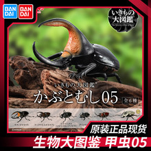 bandai/万代 迪士尼捣蛋总动员-怪兽大学 _ 7月预售