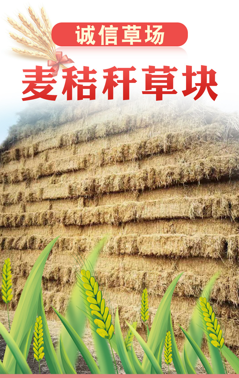 小麦秸秆压块草料 压块麦秸饲草 养殖性牛羊兔子粗饲料