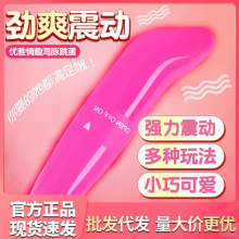 迷你小巧海豚震动棒女用情趣跳蛋G点按摩自慰棒成人用品批发代发