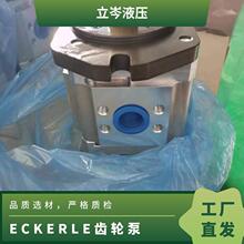 ECKERLE齿轮泵 EIPC6-125RA23-11 注塑机用伺服油泵 原装进口