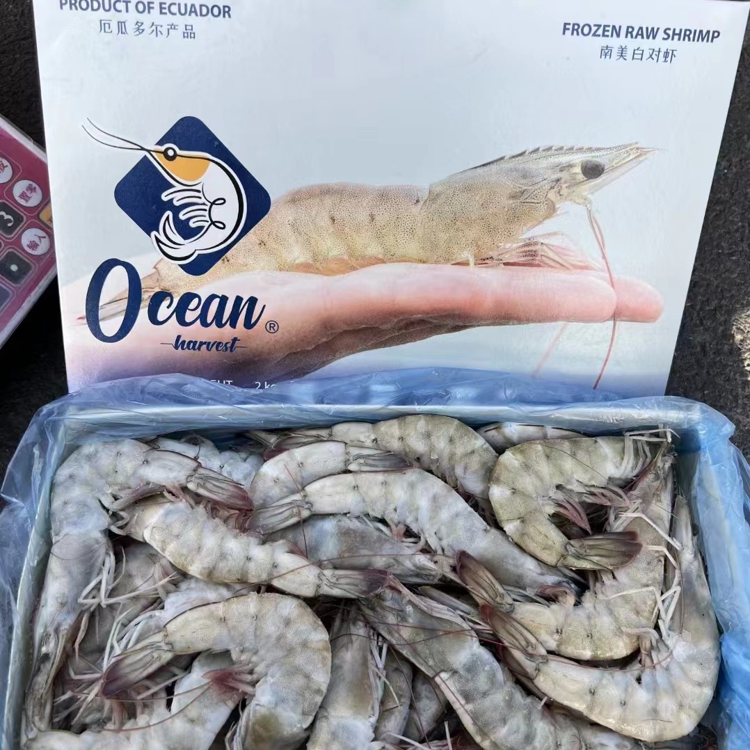 厄瓜多尔白虾kg-厄瓜多尔白虾kg厂家,品牌,图片,热帖-阿里巴巴