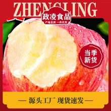 【全年供应】山东烟台红富士苹果生鲜水果新鲜应季脆甜整箱批发