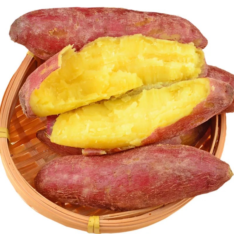 云南黄金蜜薯新鲜蔬菜红薯番5斤薯肉质软糯香甜新鲜水果