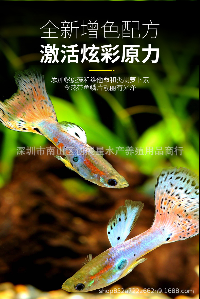 德国 德彩热带鱼小型鱼迷你颗粒饲料 神仙孔雀灯鱼鱼粮