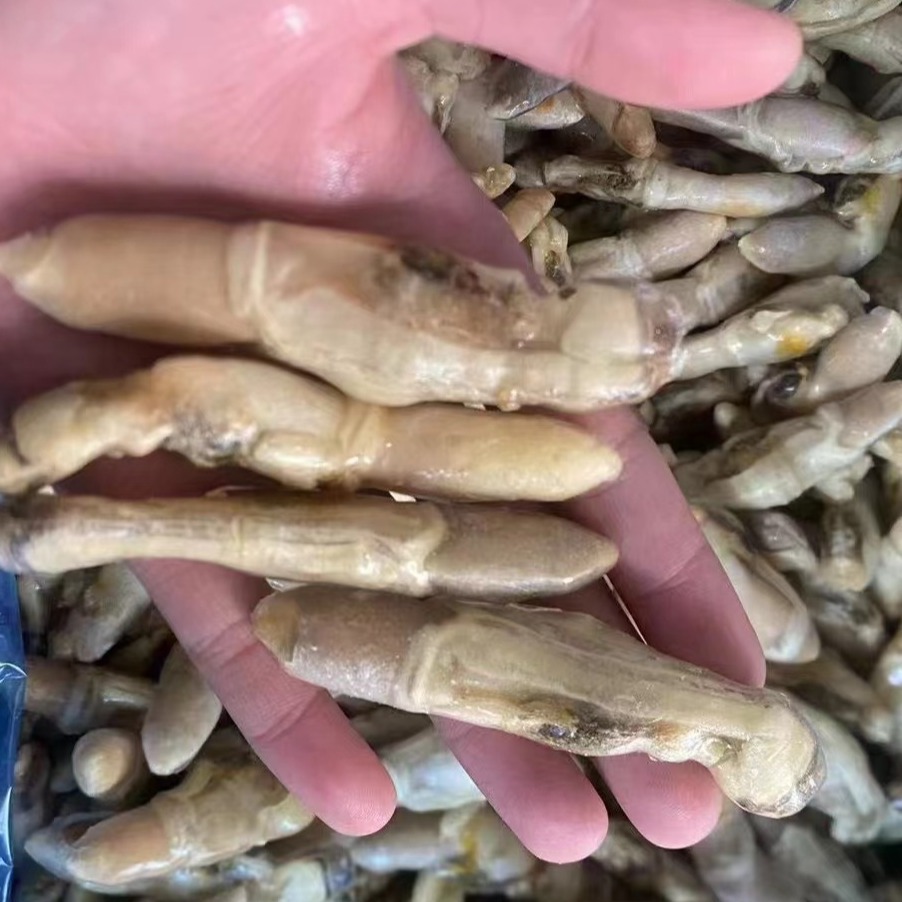 新鲜去壳速冻蛏子肉大个鲜活冷冻蛏子肉现剥竹蛏子肉贝类海鲜商用