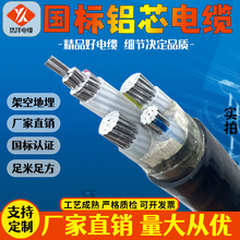 铝芯电缆yjlv/yjlv22国标铝芯电缆低压阻燃电力电缆铝电缆厂家