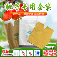桃子套袋专用袋枇杷芒果纸袋防水防虫水蜜桃蟠桃黄桃保护袋子防鸟