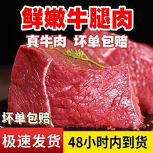 牛腿肉整切牛前腱牛腩肉鲜冻调理生牛肉炖卤食材牛肉批发