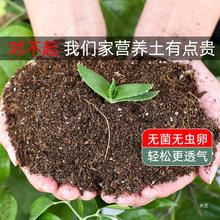 花土营养土花肥料家用养花种菜种植土盆栽通用型多肉有机土壤