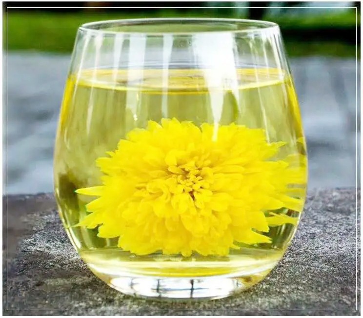 富硒皇菊32朵装世界硒都花茶纯天然种植正品一杯一朵特级养生茶叶