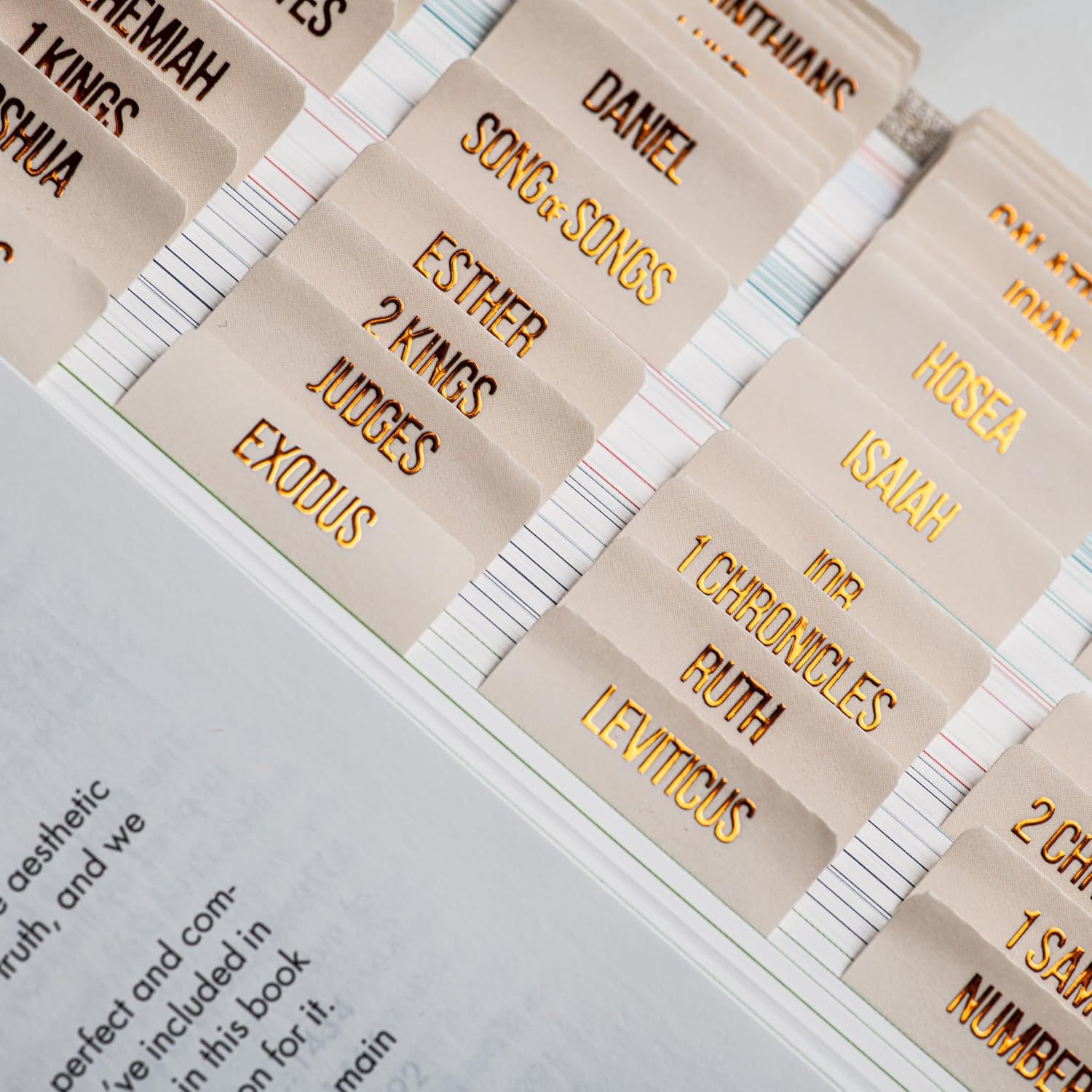 源厂家跨境烫金月份索引贴纸防水月度规划分类标记便利书签不干胶